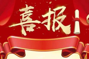 关于2022年度人力资源服务评选结果的通报，祝贺江南官方网页版_江南（中国）官方集团