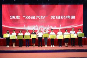 喜报！江南官方网页版_江南（中国）官方集团党支部荣获广州市非公有制经济组织“双强六好”党