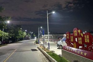 江南官方网页版_江南（中国）官方集团罗宁弟爱心捐赠路灯，点亮乡村路温暖乡民心